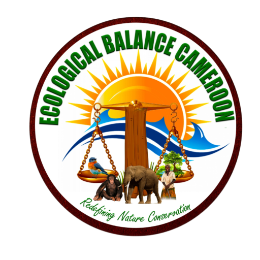 Ecological Balance Cameroon